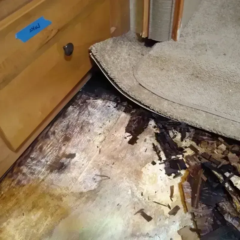 Wood Floor Water Damage in Craig Beach, OH